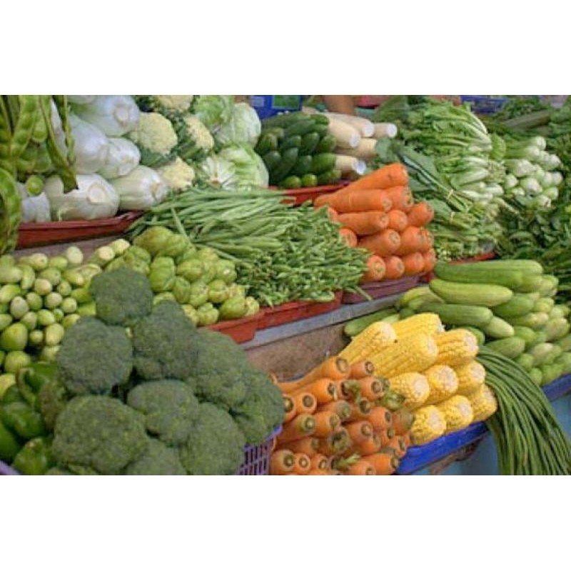 

PAKET SAYUR SERBA 5000