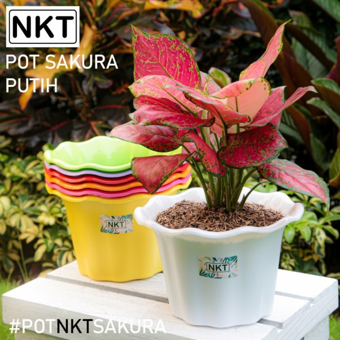 Pot Bunga NKT SAKURA 20 Pot NKT Pot bunga plastik Pot model bunga Pot cantik