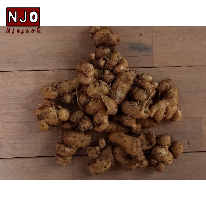 

Njajano Kencur bumbu besar segar