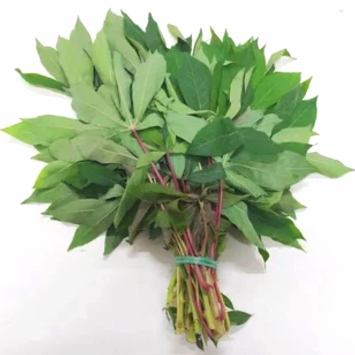 

Daun Singkong