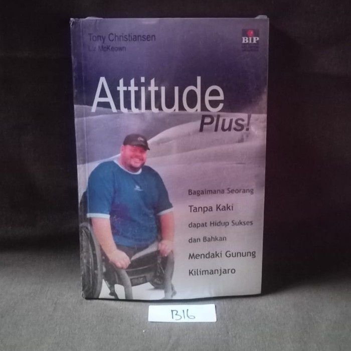 Attitude Plus