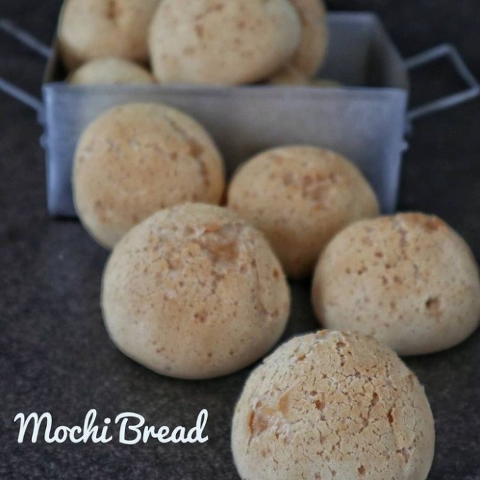 

JS-32 Puratos Tegral Mochi Bread Mix Tepung Premix Roti Kenyal