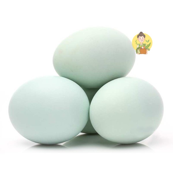 

Telor Asin / Telur Asin 1 Butir - Sayur Segar Instan Malang