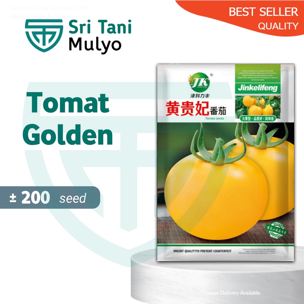 STM Benih Tomat Orange || Benih Sayuran Tomat Golden Shine  Bibit Sayuran Benih Sayuran [B]