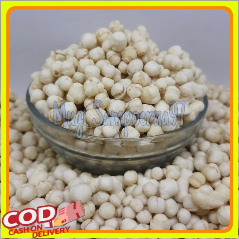 

1kg pilus kencur premium