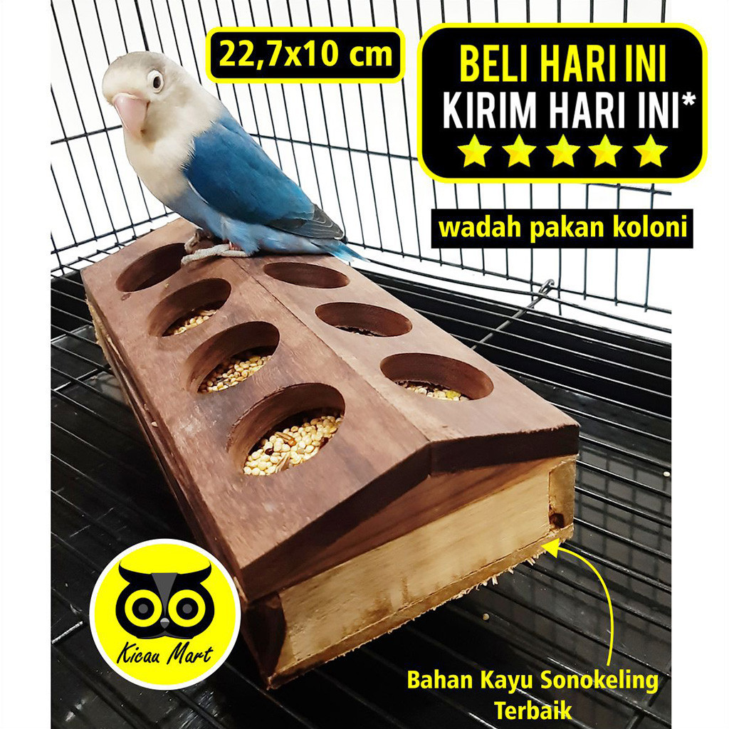 KICAU MART WADAH PAKAN KOLONI KOTAK KAYU TEMPAT MAKAN BURUNG LOVEBIRD TERNAK ANTI TUMPAH SANGKAR UMB