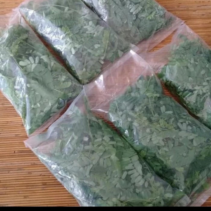Daun Saga Segar | Daun Sogok Tunteng | Obat Batuk Sariawan Ampuh