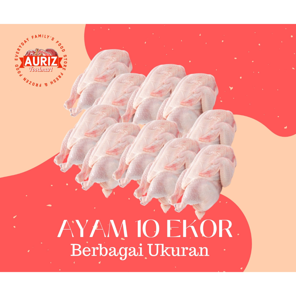 

MURAH GROSIR AYAM SEGAR OMA : Ayam Karkas Fresh Frozen 10 EKOR