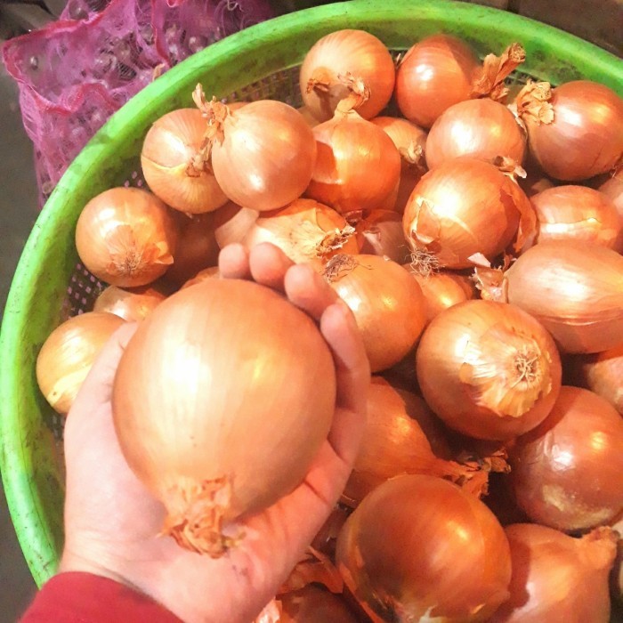 

Bawang Bombay / Bombai / Onion Fresh