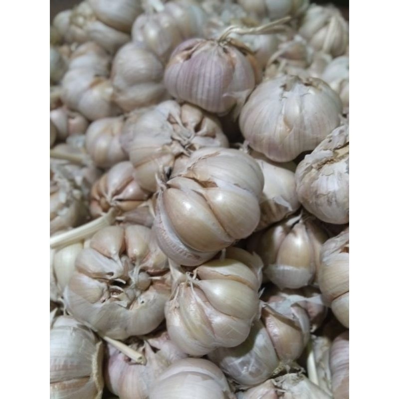 

BAWANG PUTIH BERSIH 1KG