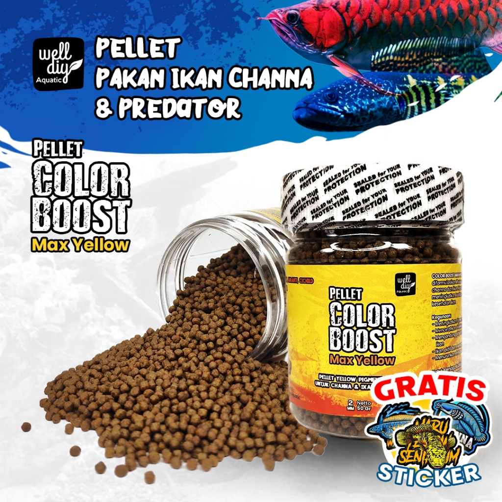 Pelet Pakan Ikan Chana Channa Maru Carophyll COLOR BOOSTER Yellow Pigment