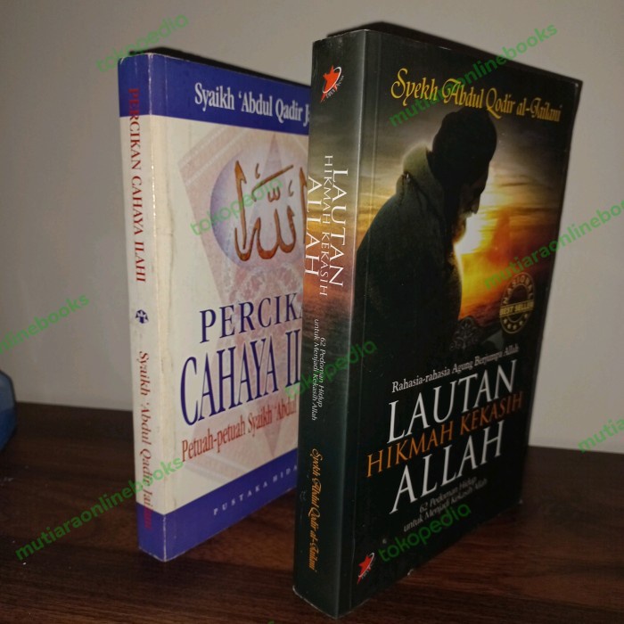 Buku Syekh Abdul Qodir al Jailani percikan cahaya Ilahi dan Lautan Hik