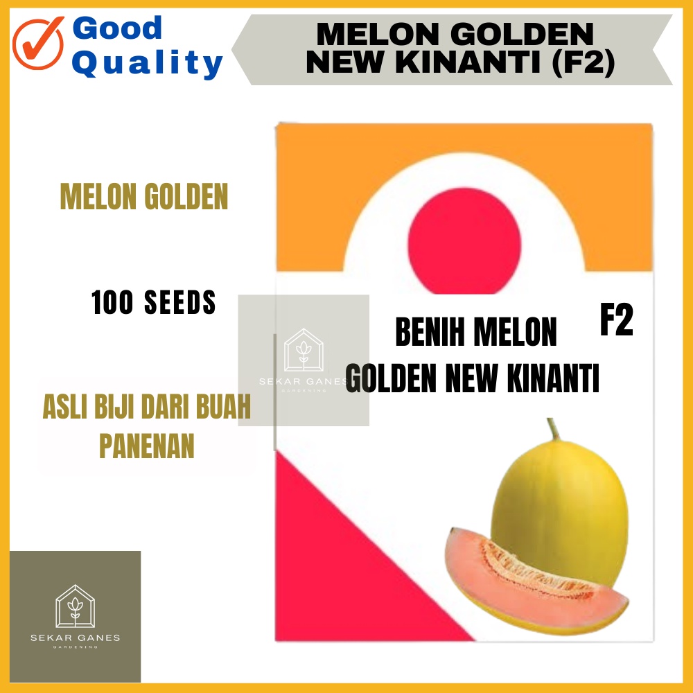 Biji Benih dari Buah Melon GOLDEN NEW KINANTI F2 - Kemasan Repack 100 Bibit Benih Melon Golden Panen
