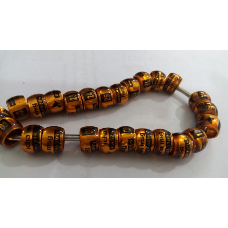 RING BURUNG MODEL DONAT TRANPARAN  MERPATI LOVEBIRD MURAI KENARI PERKUTUT GRATIS CETAK NAMA