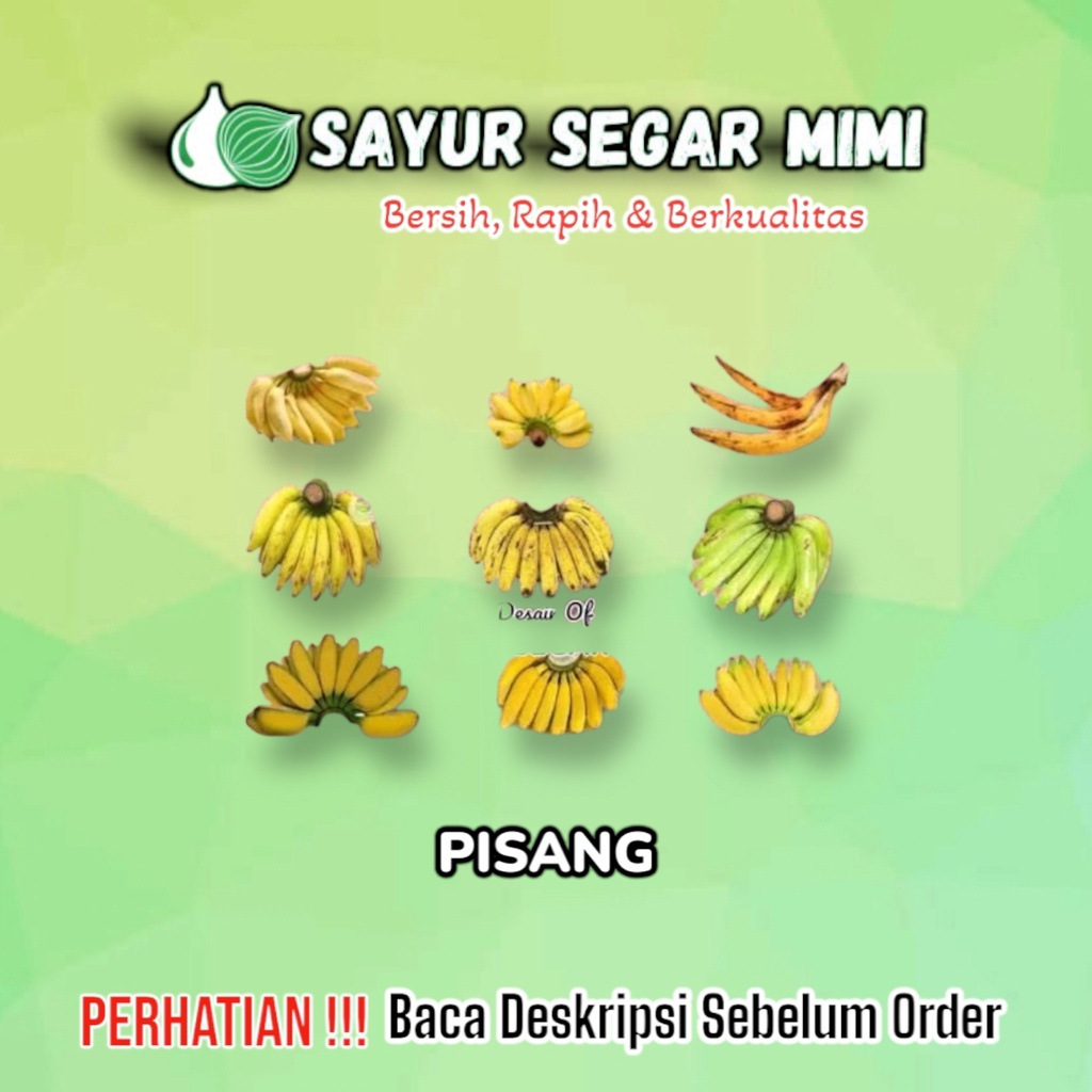 

Pisang Persisir - Sᴀʏᴜʀ Sᴇɢᴀʀ ♏ɪᴍɪ