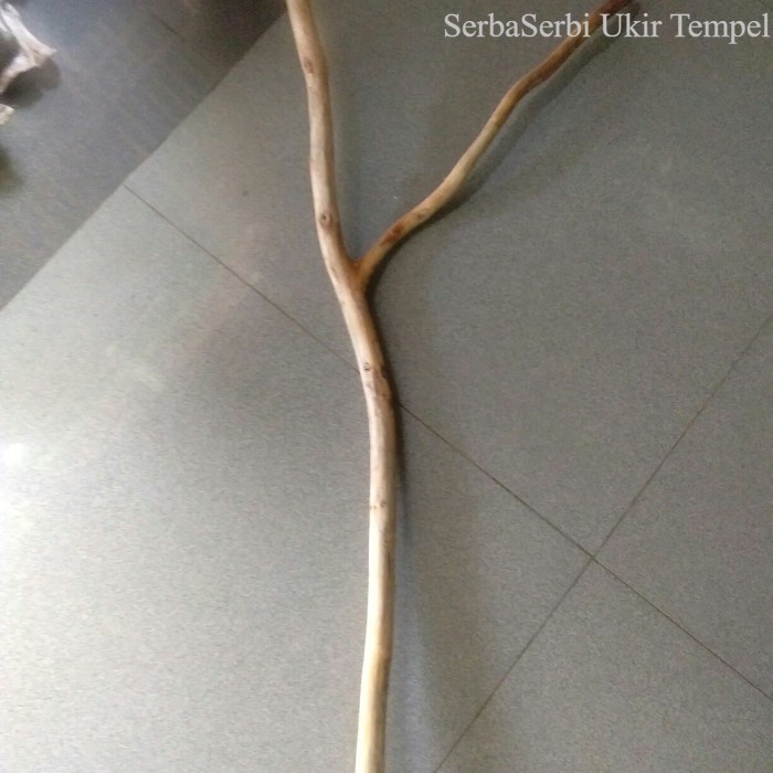 ranting kayu jati cabang 50 cm - ranting kayu macrame Termurah