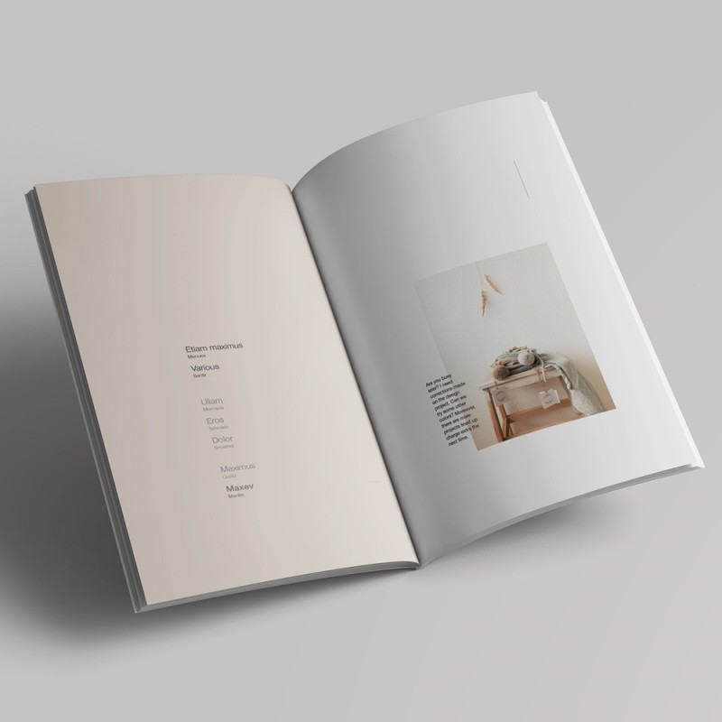 

Customized product.Custom Paper Books Flyers Leaflet Booklet Catalogue Luxury Brochure Magazine Printing Service