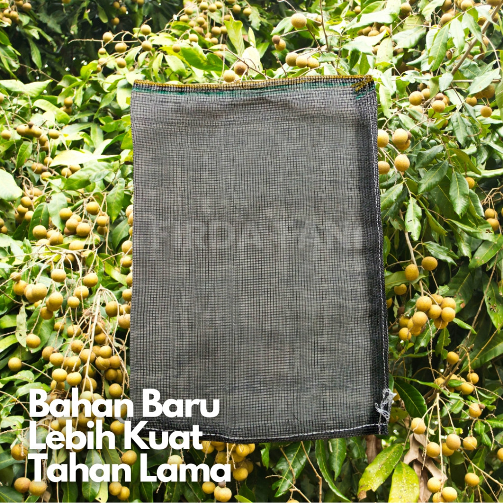 Bungkus Kelengkeng Hitam BARU 10 Pcs 40 X 58 Cm Cover Buah Kelengkeng Brongsong Jaring