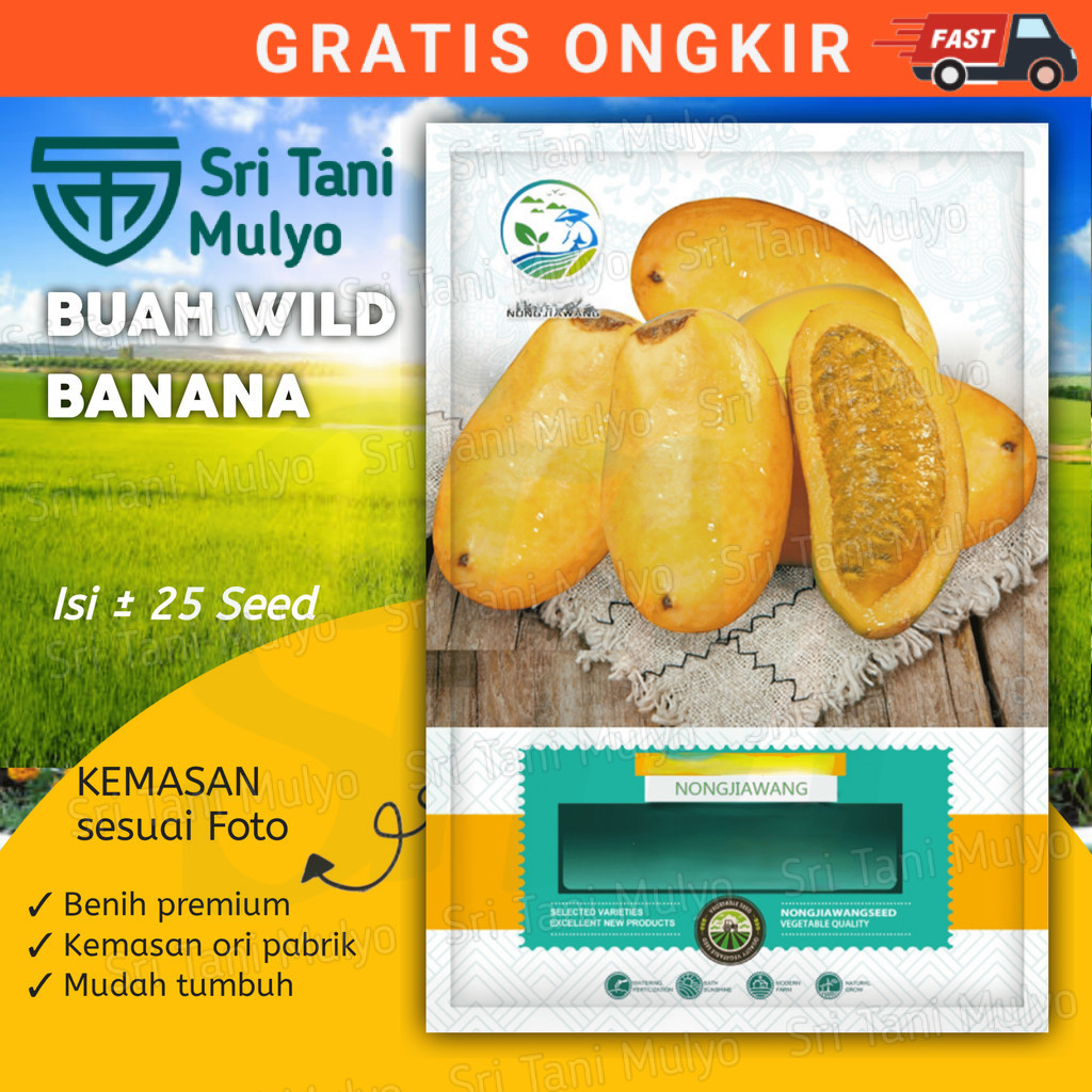 

0K - BENIH BUAH WILD BANANA BERKUALITAS KEMASAN PABRIK-BIBIT BUAH
