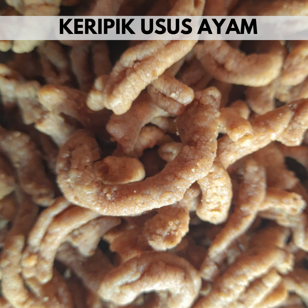 

SALE - ANEKA RASA KERIPIK USUS CRISPY 500 Gram