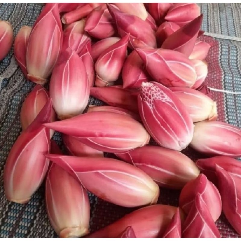 

New BUNGA KUCUP KECOMBRANG MERAH PELENGKAP MASAKAN 100 GR COD