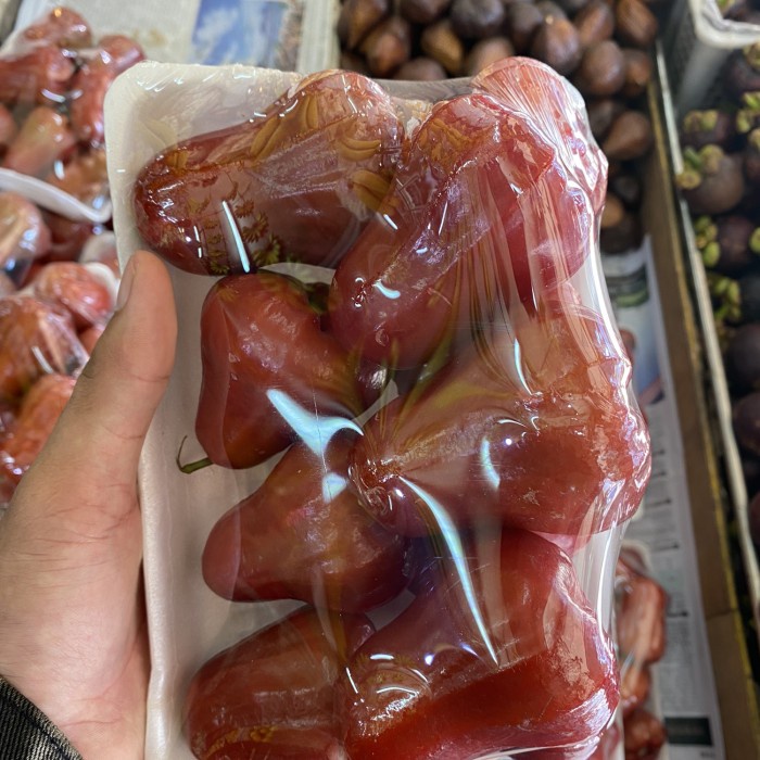 Jambu air citra merah | Buah jambu air merah citra fresh 1 kg
