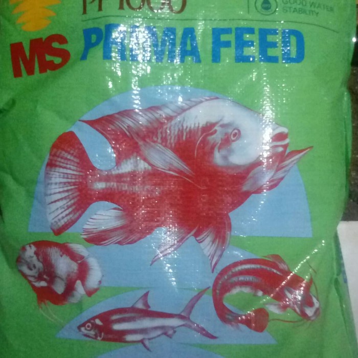 Pakan Makanan Benih bibit ikan Lele Nila Gurame Pelet PF 1000 1 kg