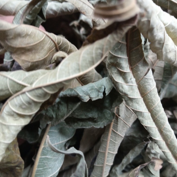

daun sungkai kering 1 kg