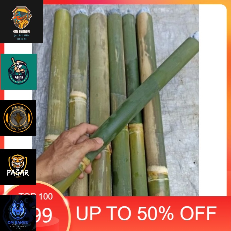 obor bambu tradisional f-+40-50cm  bahan obor bambu tanpa sumbu bambu obor #OM