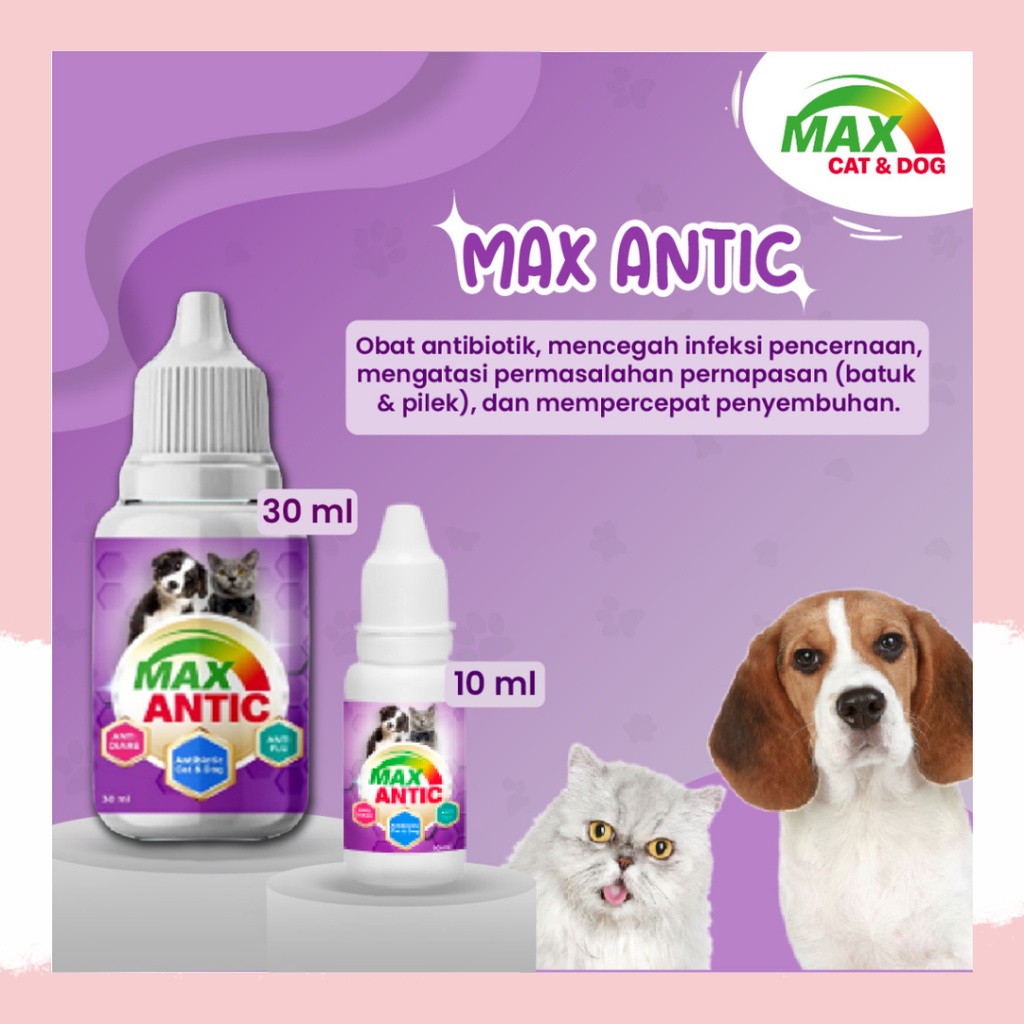 OBAT TETES ANTIBIOTIK KUCING ANJING MENGOBATI DIARE DAN FLU MAX