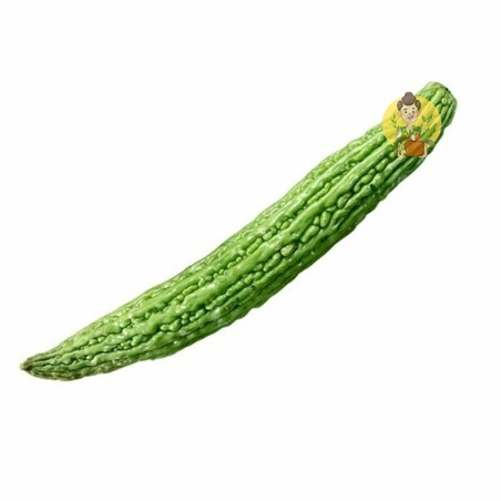 

Pare Fresh 500 gram - Sayur Segar Instan Malang