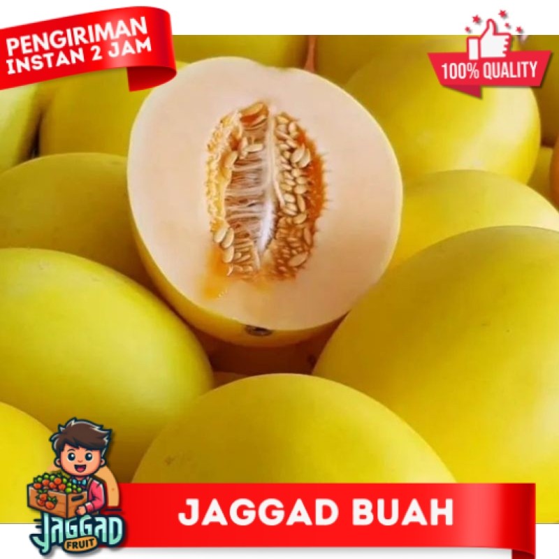 

Melon Golden 1 Pcs Jaggad Fruit