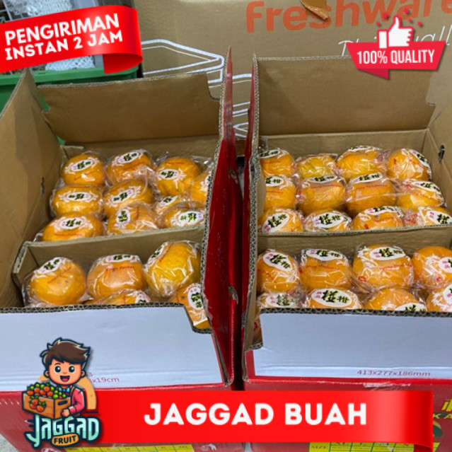 

BUAH JERUK PONKAM HDL GIFT GROSIR PER DUS ISI 9KG JAGGAD FRUIT