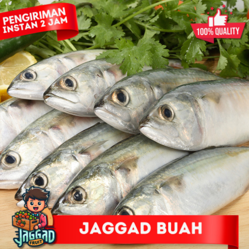 

Ikan Lele / Ikan Kembung / Ikan Nila Merah / Ikan Tongkol / Ikan Selar / Ikan Mas JAGGA FRUIT