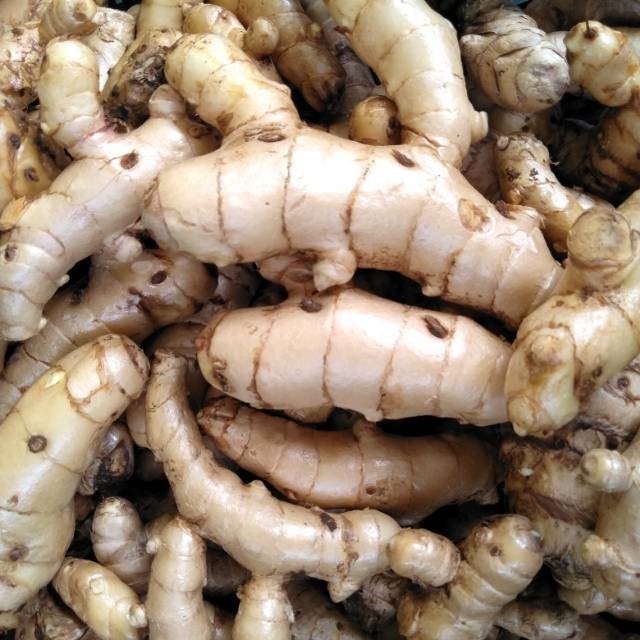 

Promo Kunyit putih segar 1kg (temu putih/curcuma zedoaria) COD