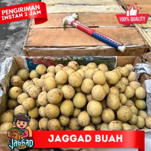 

Buah Duku Fresh ASLI Palembang JAGGAD FRUIT