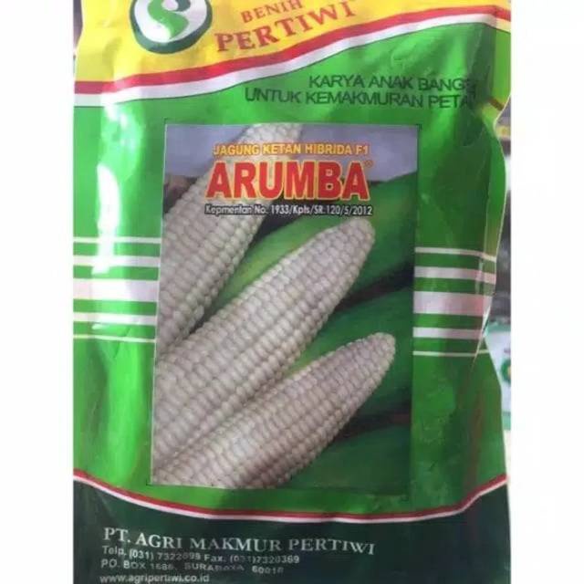 Benih / bibit jagung putih pulut manis ARUMBA jagung arumba 250 gr dari benih pertiwi