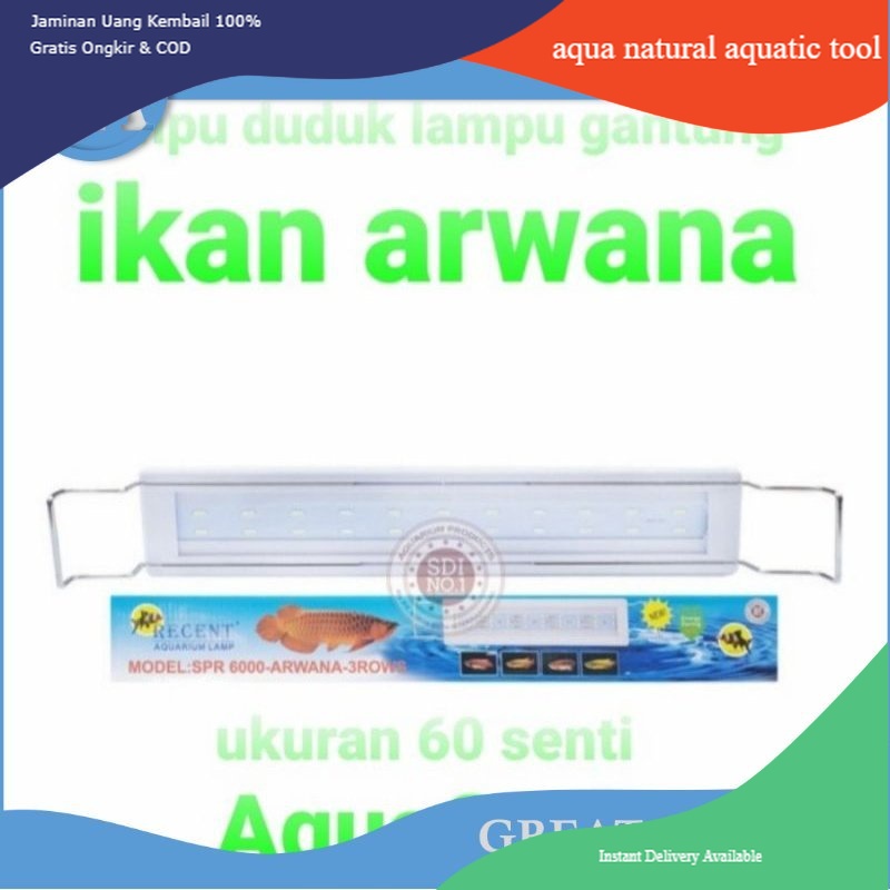 lampu spr recent 6000 lampu aquarium ikan arwana lohan ikan kelas