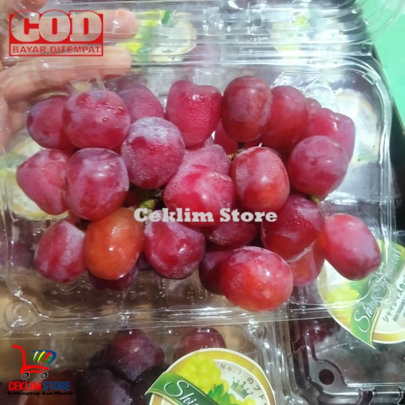

Anggur Red Globe 500 Gram