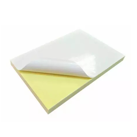 

Sticker Chromo A3+ | Sticker Glossy | Sticker Chromo LINTEC