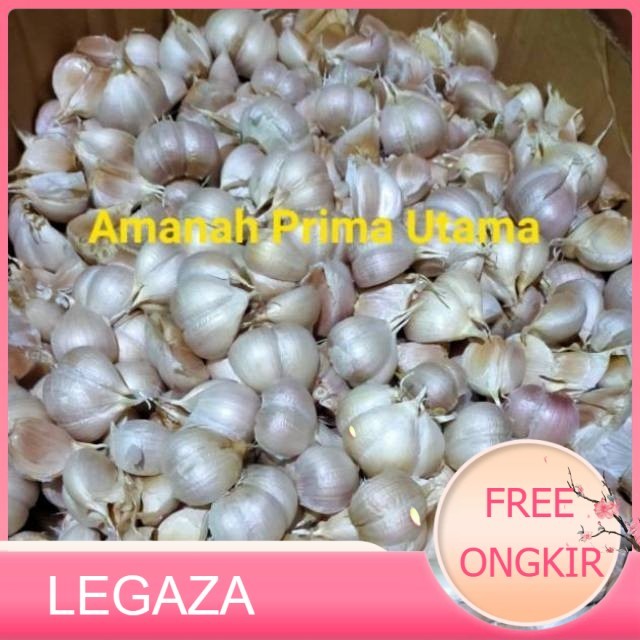 

Bang putih kating 1 kilogram - Legaza