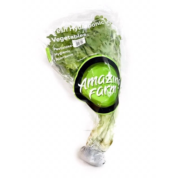 

Amazing Farm Selada Keriting [250gr/1 Pack]