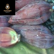 

jantung pisang kepok 1kg promo 12.12