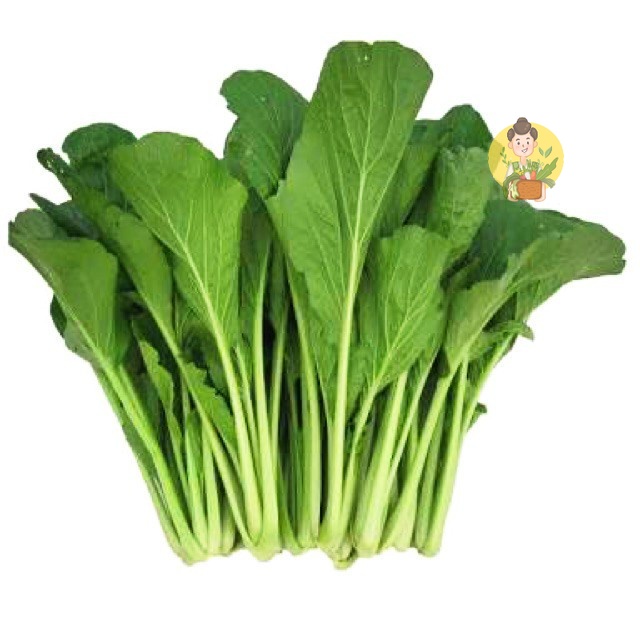 

Sawi Ijo / Sawi Manis 250gram - Sayur Segar Instan Malang