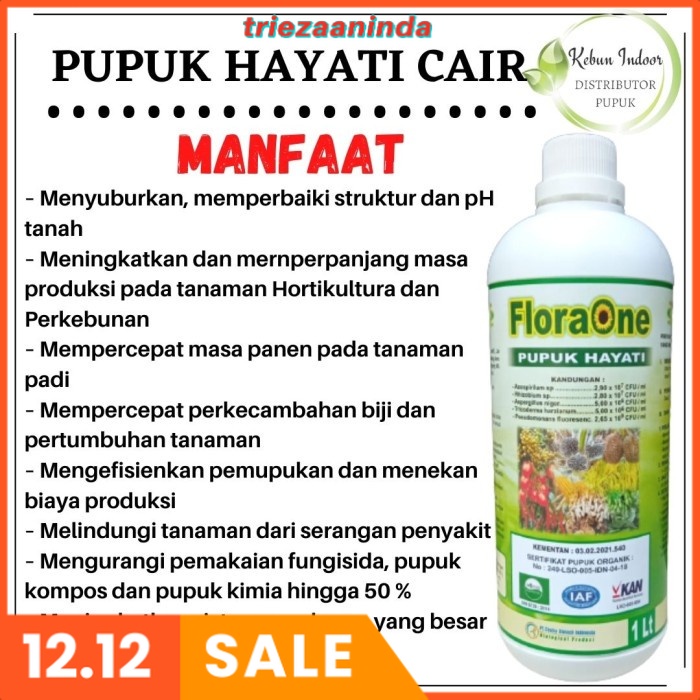 Pupuk Organik Terbaik Untuk Padi, FLORAONE Pupuk Hayati Padi Cair