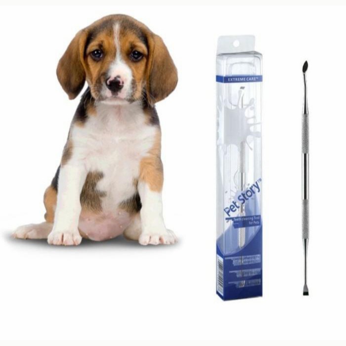 Pet Scalling Tool Pembersih Karang Gigi Anjing Kucing