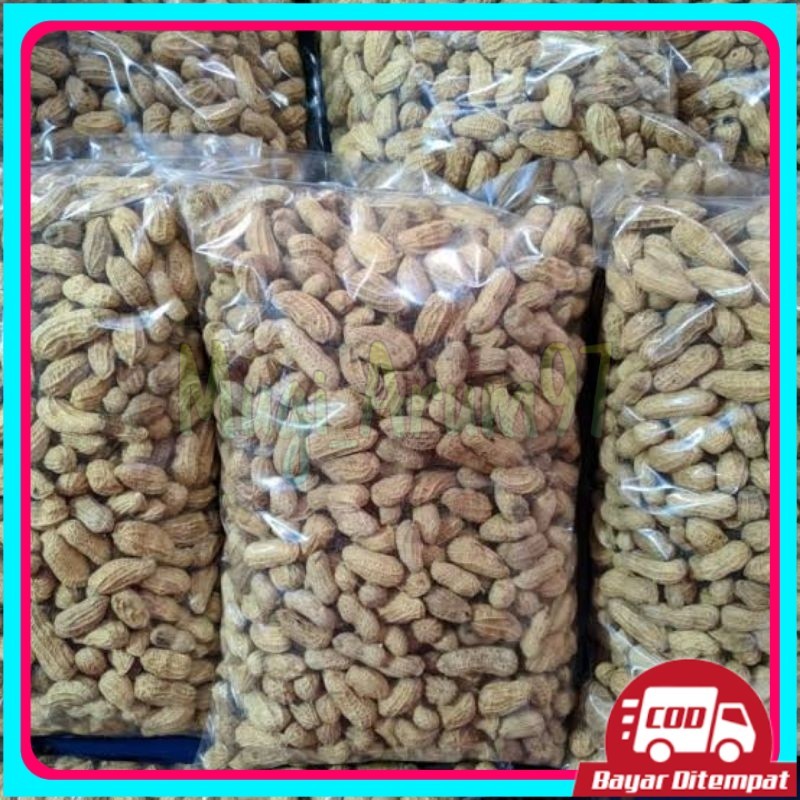 

1Kg Kacang Kulit Sangrai Madura Camilan Kacang sangrai Camilan Kacang Oven Kacang Di Sangrai