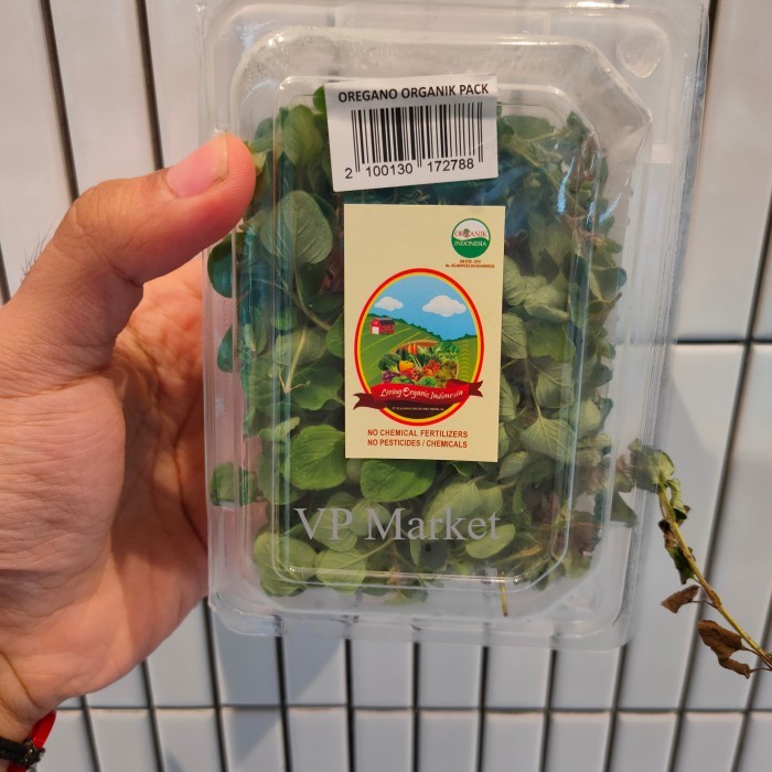 

Daun Oregano Organic Fresh | Daun Oregano Segar | Pack