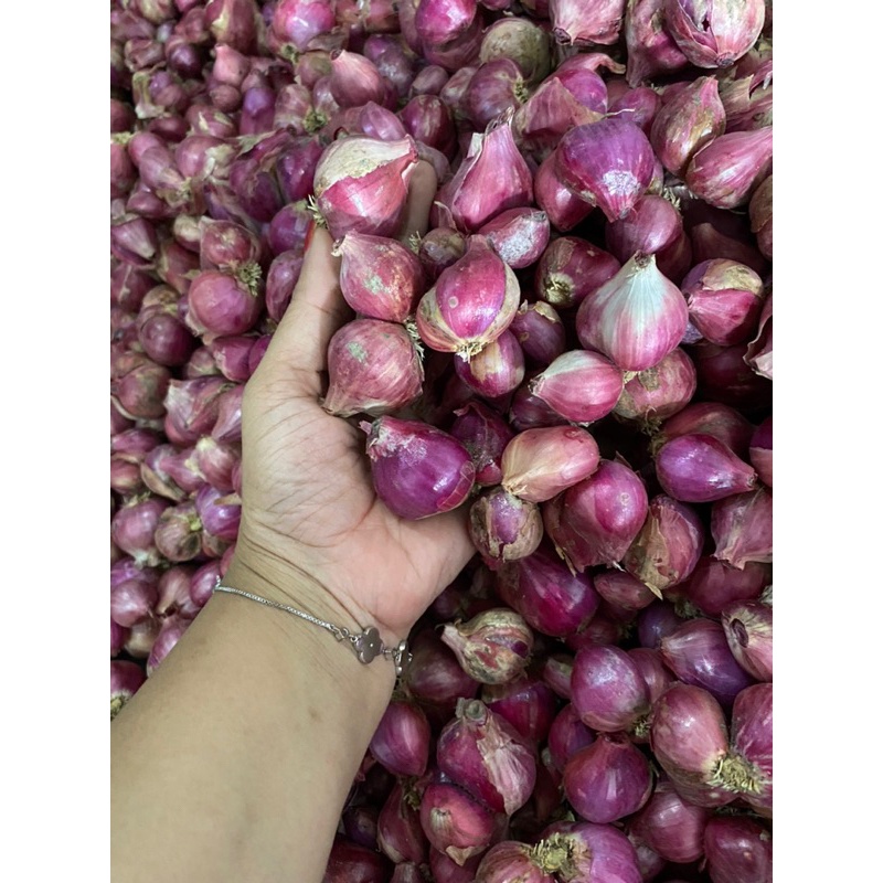 

bawang merah super