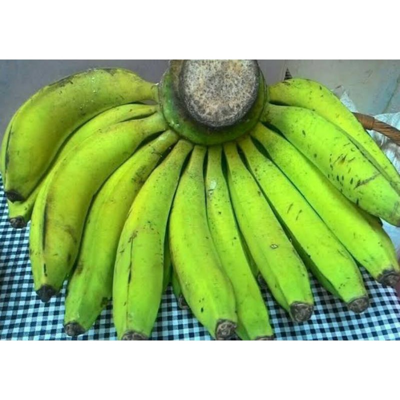 

Pisang Ambon Lumut/ Ambon Hijau/ Ambon kampung